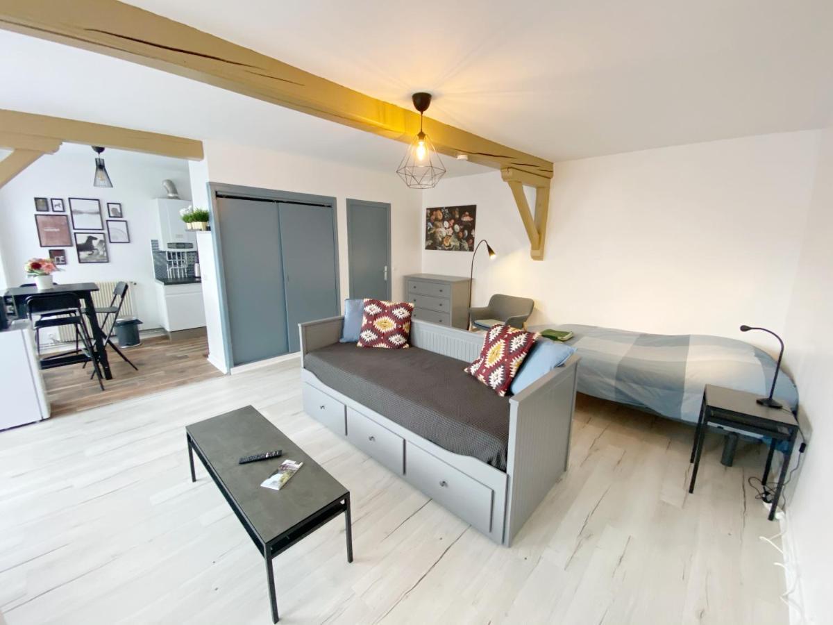 015 Chic & Cosy Studio 41M2 Hypercentre Wifi Smart Tv Netflix Сент-Этьен Экстерьер фото